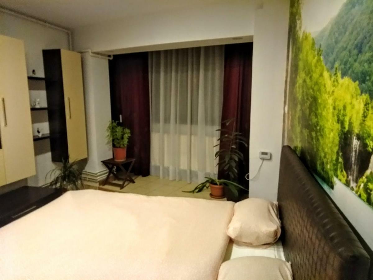 شقة Cozy Downtown Oasis بوخارست المظهر الخارجي الصورة
