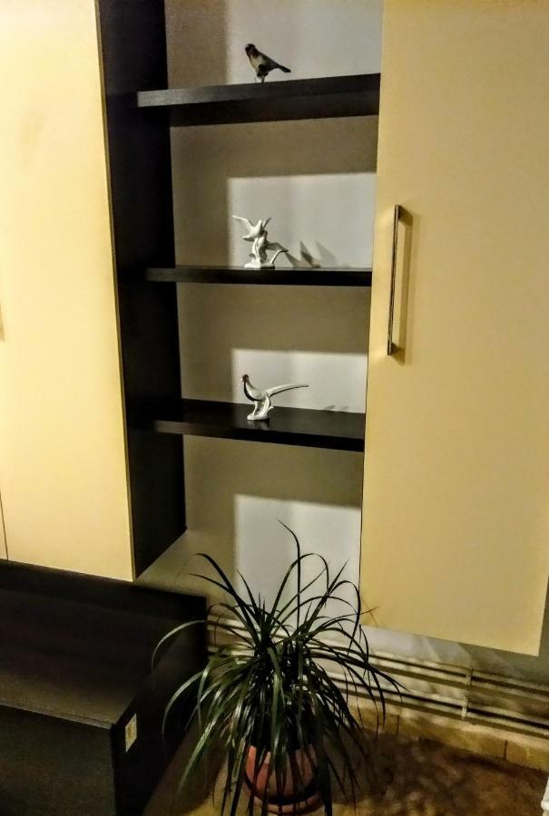 شقة Cozy Downtown Oasis بوخارست المظهر الخارجي الصورة